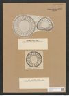 Campylodiscus horologium var. pfitzeri (A. Schm.) (de-Toni-Nr.: Genus 57, Species 2458) Zeichnungen Sammlung Grunow Nr. 4951 (NHMW-BOT-W0373170)